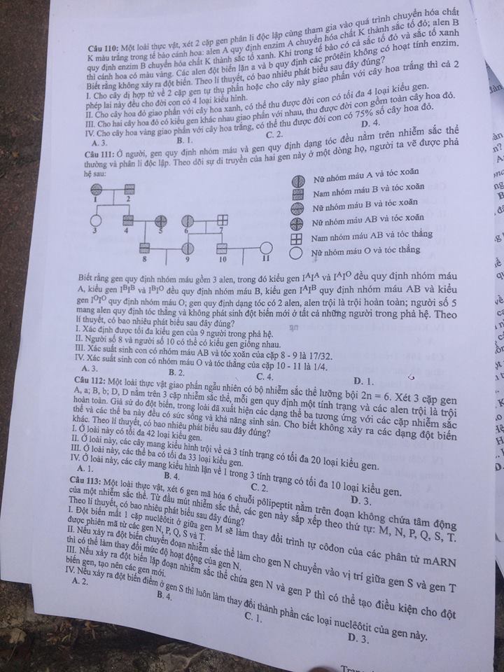 Đề thi, đáp án môn Sinh học mã đề 215 THPT Quốc gia 2018 chuẩn nhất (Hình 4).