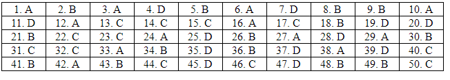 Giáo dục - Đáp án đề thi môn Toán thi THPT Quốc gia 2019 của bộ GD&ĐT mã đề 104