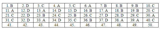 Giáo dục - Đáp án đề thi môn Toán thi THPT Quốc gia 2019 của bộ GD&ĐT mã đề 108