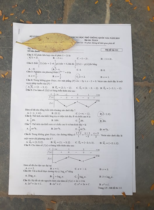 Giáo dục - Đáp án, đề thi môn Toán kỳ thi THPT Quốc gia 2019 chuẩn nhất mã đề 111 (Hình 2).