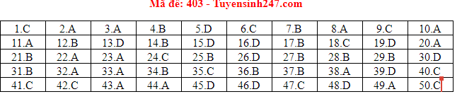 Giáo dục - Đáp án đề thi môn tiếng Anh mã đề 403 thi THPT Quốc gia 2019 của bộ GD&ĐT 