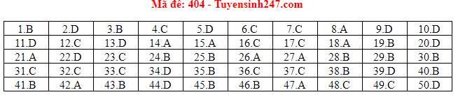 Giáo dục - Đáp án đề thi môn tiếng Anh mã đề 404 thi THPT Quốc gia 2019 của bộ GD&ĐT 