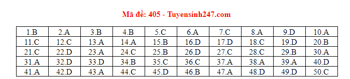 Giáo dục - Đáp án đề thi môn tiếng Anh mã đề 405 thi THPT Quốc gia 2019 của bộ GD&ĐT 