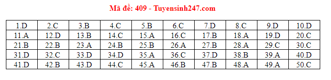 Giáo dục - Đáp án đề thi môn tiếng Anh mã đề 409 thi THPT Quốc gia 2019 của bộ GD&ĐT 