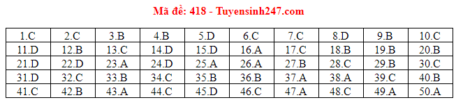 Giáo dục - Đáp án đề thi môn tiếng Anh mã đề 418 thi THPT Quốc gia 2019 chính xác nhất