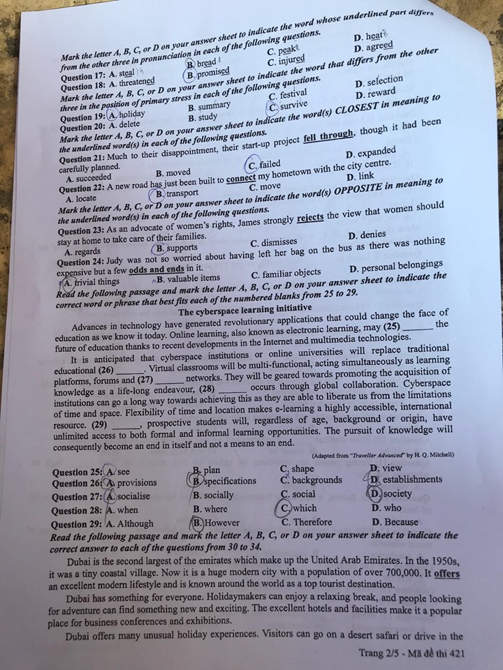 Giáo dục - Đáp án đề thi môn tiếng Anh mã đề 421 thi THPT Quốc gia 2019 chính xác nhất (Hình 3).