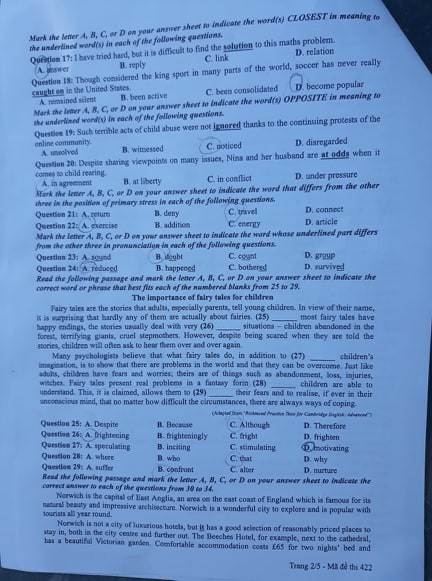 Giáo dục - Đáp án đề thi môn tiếng Anh mã đề 422 thi THPT Quốc gia 2019 chính xác nhất (Hình 3).