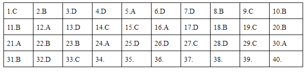 Giáo dục - Đáp án đề thi môn Vật Lý thi THPT Quốc Gia 2019 chuẩn nhất mã đề 213