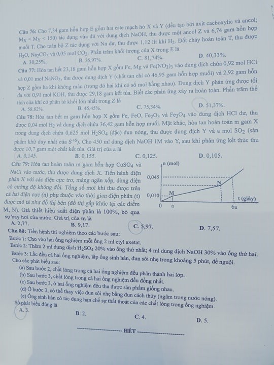 Giáo dục - Đáp án đề thi môn Sinh học mã đề 223 thi THPT Quốc gia 2019 chuẩn nhất (Hình 5).