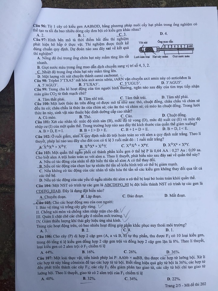 Giáo dục - Đáp án đề thi môn Sinh học mã đề 202 thi THPT Quốc gia 2019 chuẩn nhất (Hình 3).