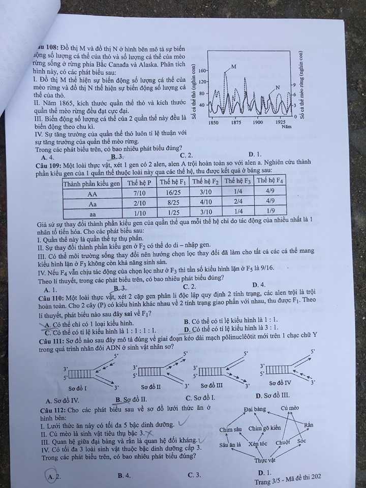 Giáo dục - Đáp án đề thi môn Sinh học mã đề 202 thi THPT Quốc gia 2019 chuẩn nhất (Hình 4).