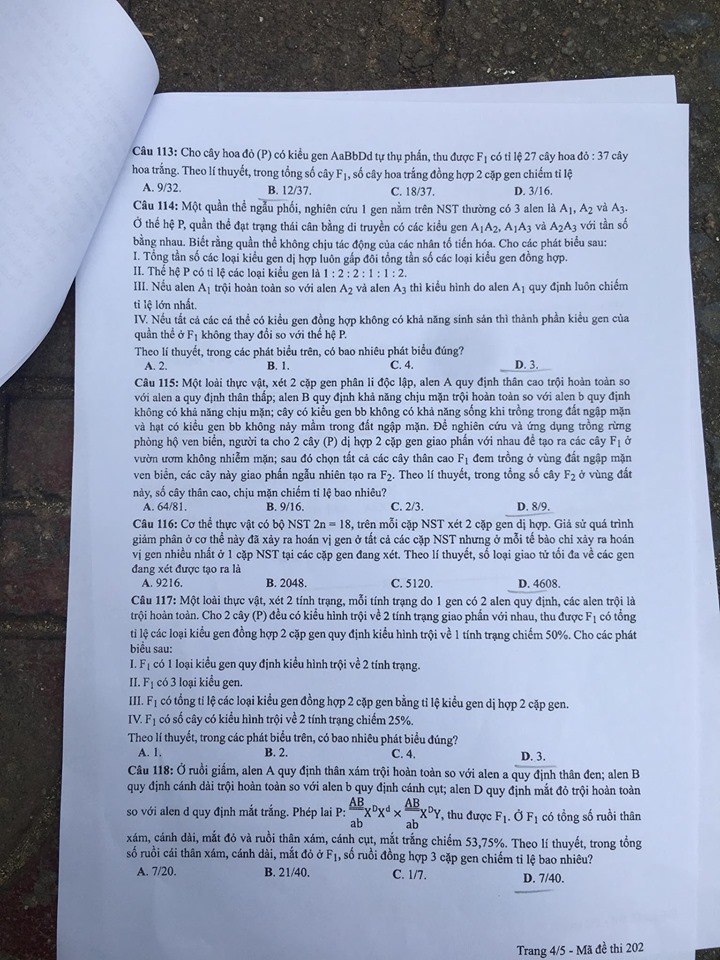 Giáo dục - Đáp án đề thi môn Sinh học mã đề 202 thi THPT Quốc gia 2019 chuẩn nhất (Hình 5).
