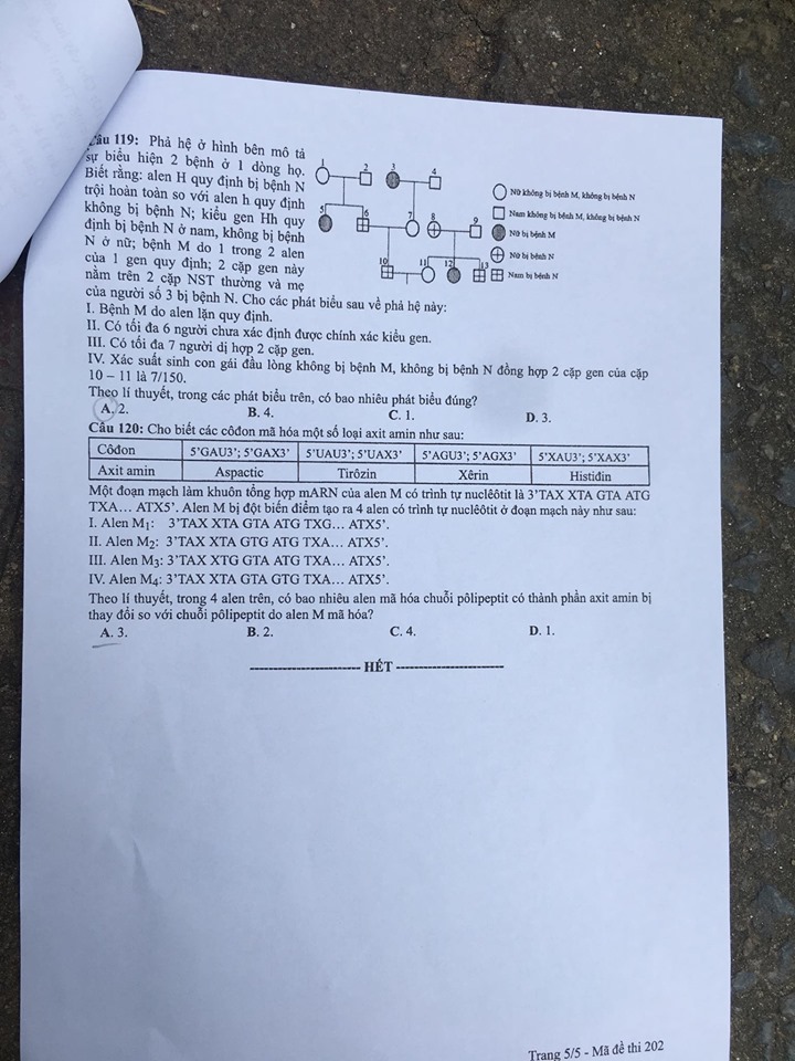 Giáo dục - Đáp án đề thi môn Sinh học mã đề 202 thi THPT Quốc gia 2019 chuẩn nhất (Hình 6).