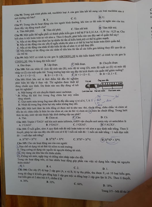Giáo dục - Đáp án đề thi môn Sinh học mã đề 207 thi THPT Quốc gia 2019 chuẩn nhất (Hình 3).
