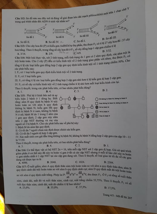 Giáo dục - Đáp án đề thi môn Sinh học mã đề 207 thi THPT Quốc gia 2019 chuẩn nhất (Hình 5).