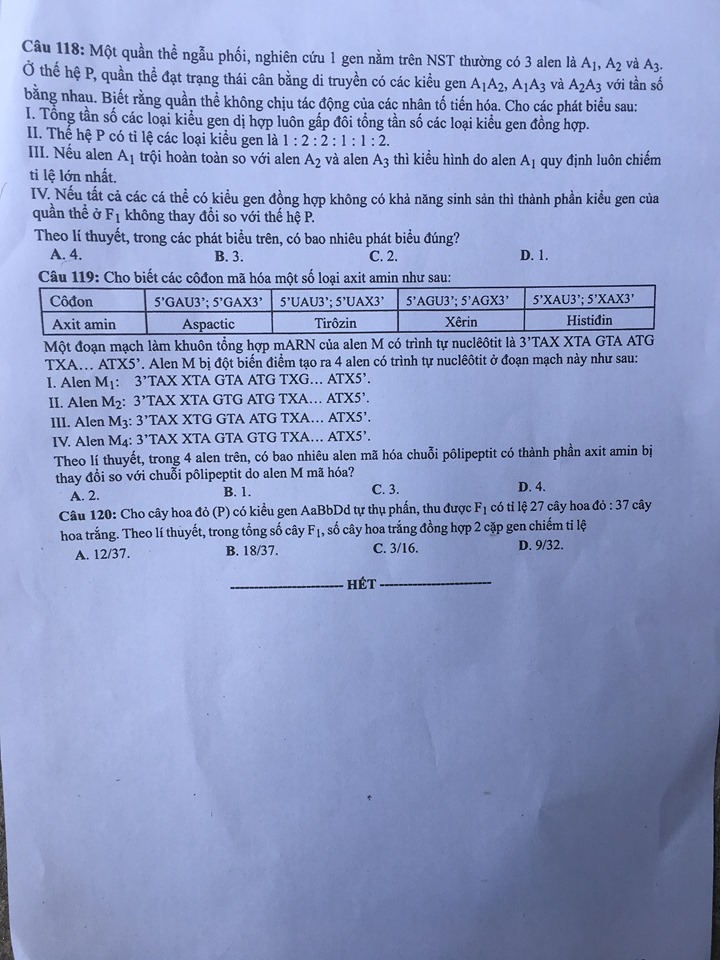 Giáo dục - Đáp án đề thi môn Sinh học mã đề 208 thi THPT Quốc gia 2019 chuẩn nhất (Hình 6).