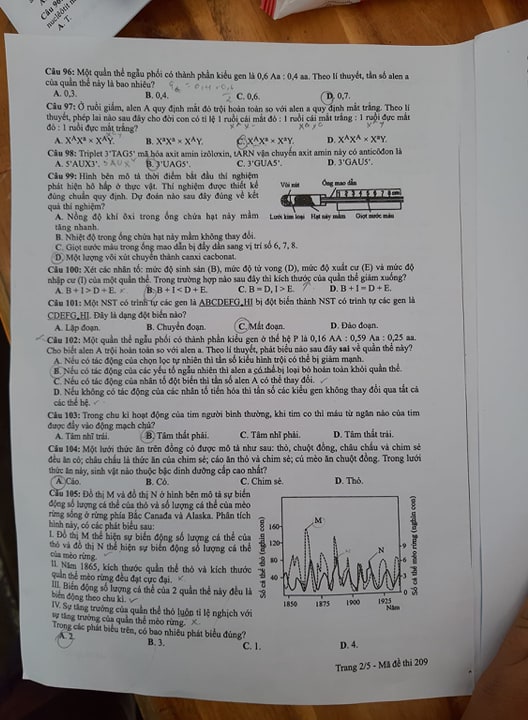 Giáo dục - Đáp án đề thi môn Sinh học mã đề 209 thi THPT Quốc gia 2019 chuẩn nhất (Hình 3).