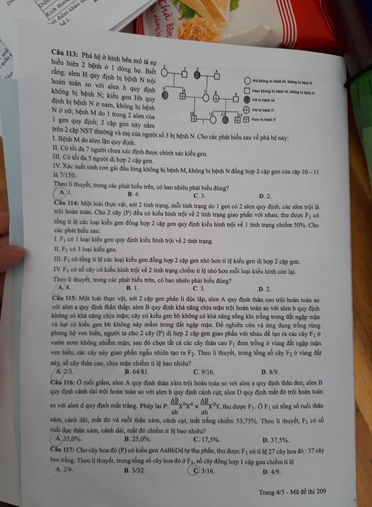 Giáo dục - Đáp án đề thi môn Sinh học mã đề 209 thi THPT Quốc gia 2019 chuẩn nhất (Hình 5).