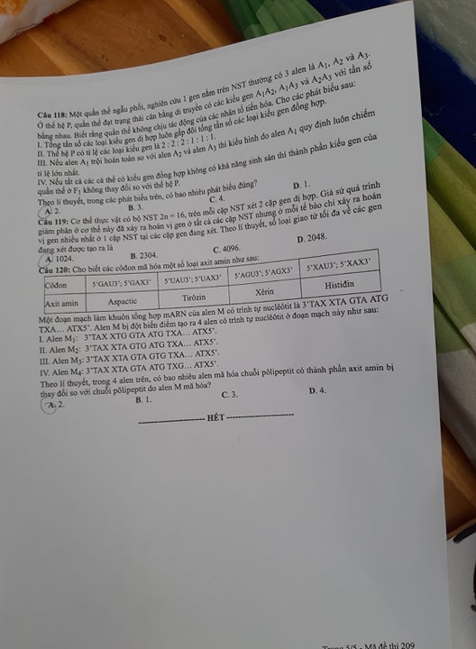 Giáo dục - Đáp án đề thi môn Sinh học mã đề 209 thi THPT Quốc gia 2019 chuẩn nhất (Hình 6).