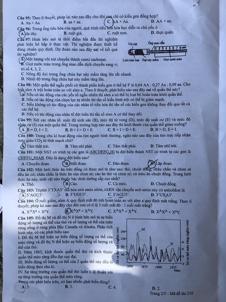 Giáo dục - Đáp án đề thi môn Sinh học mã đề 210 thi THPT Quốc gia 2019 chuẩn nhất (Hình 3).