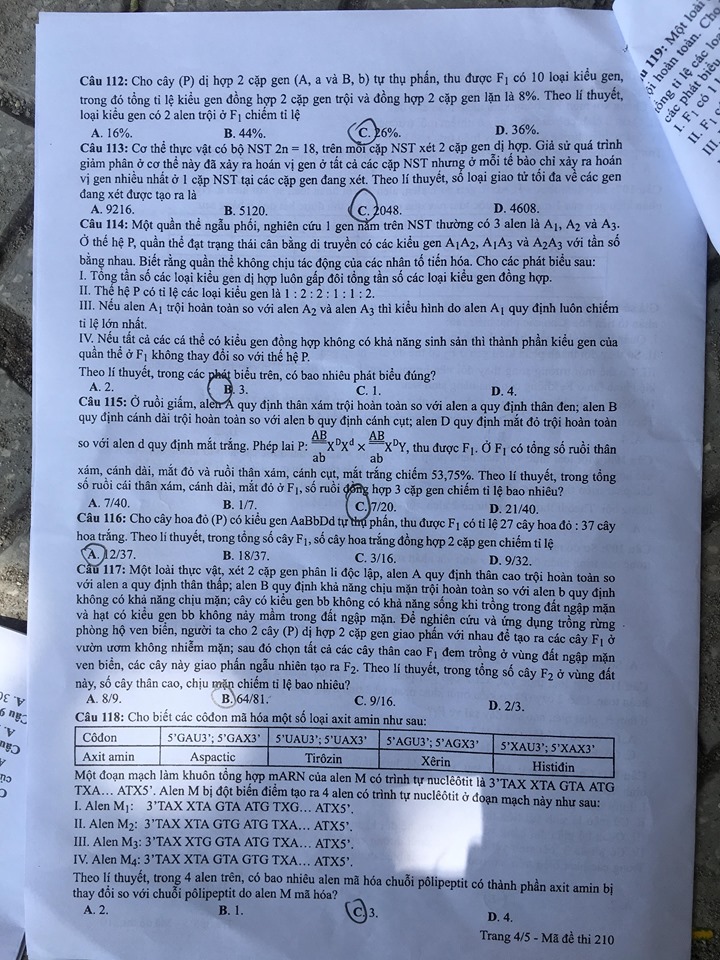 Giáo dục - Đáp án đề thi môn Sinh học mã đề 210 thi THPT Quốc gia 2019 chuẩn nhất (Hình 5).