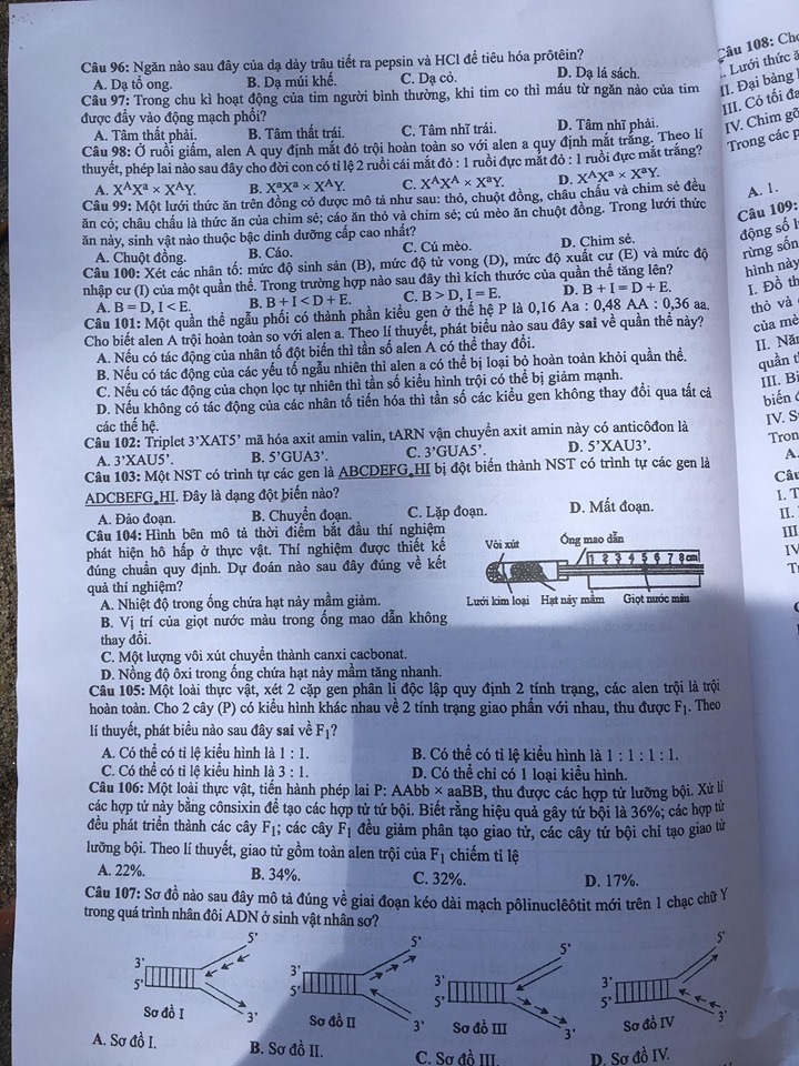 Giáo dục - Đáp án đề thi môn Sinh học mã đề 211 thi THPT Quốc gia 2019 chuẩn nhất (Hình 3).