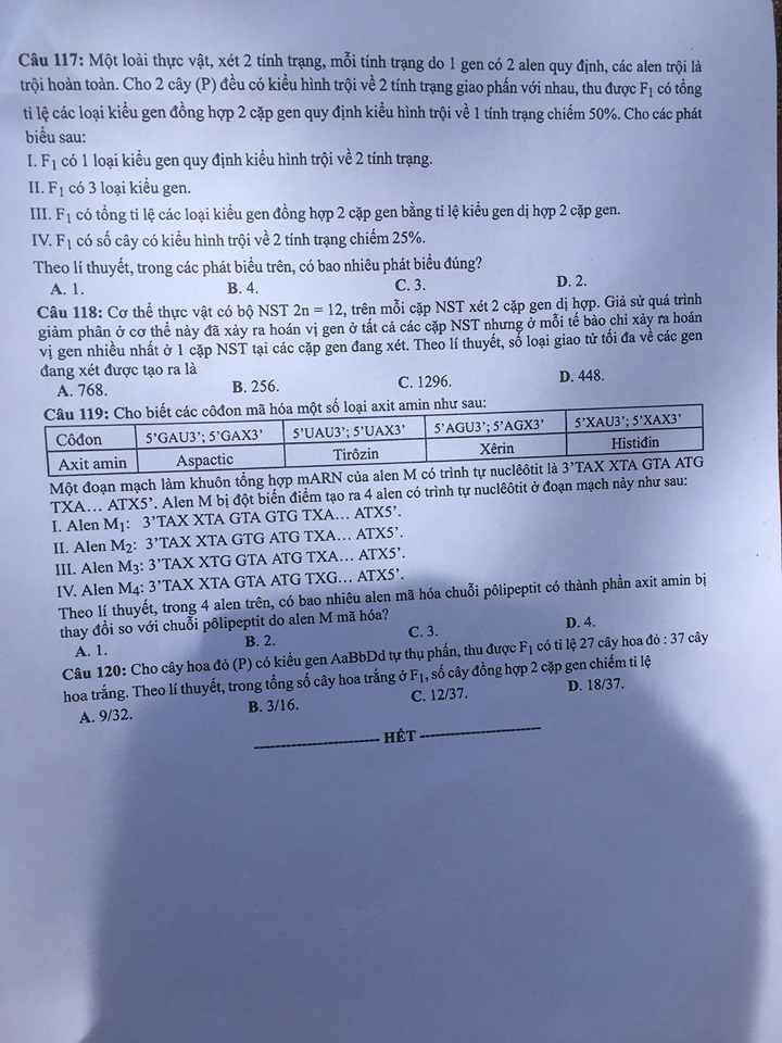 Giáo dục - Đáp án đề thi môn Sinh học mã đề 211 thi THPT Quốc gia 2019 chuẩn nhất (Hình 6).