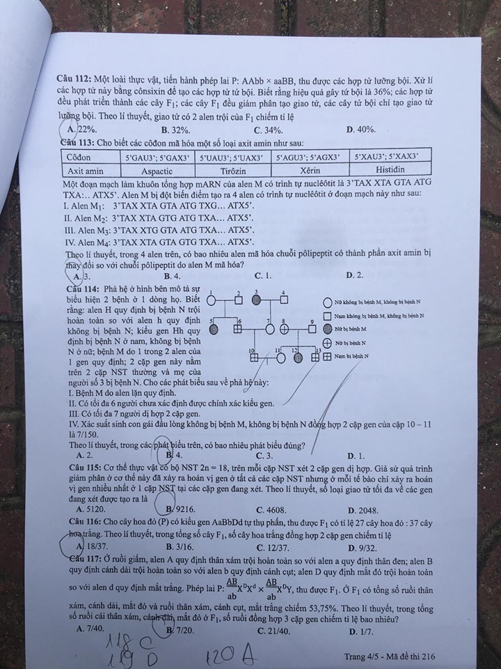 Giáo dục - Đáp án đề thi môn Sinh học mã đề 216 thi THPT Quốc gia 2019 chuẩn nhất (Hình 5).