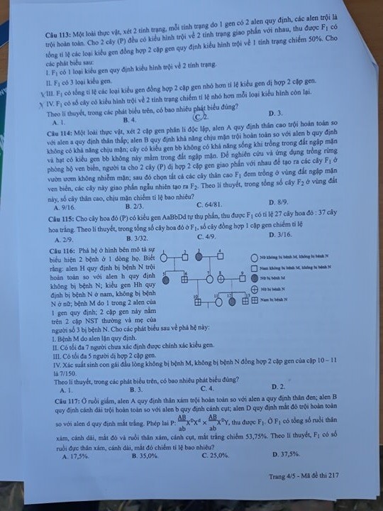 Giáo dục - Đáp án đề thi môn Sinh học mã đề 217 thi THPT Quốc gia 2019 chuẩn nhất (Hình 5).