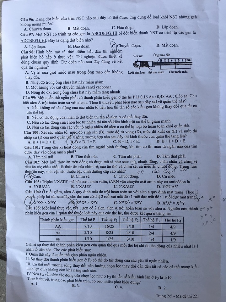 Giáo dục - Đáp án đề thi môn Sinh học mã đề 221 thi THPT Quốc gia 2019 chuẩn nhất (Hình 3).