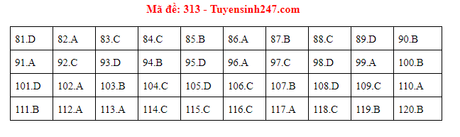 Giáo dục - Đáp án đề thi môn GDCD mã đề 313 thi THPT Quốc gia 2019 chuẩn nhất