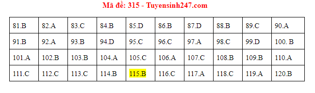 Giáo dục - Đáp án đề thi môn GDCD mã đề 315 thi THPT Quốc gia 2019 chuẩn nhất