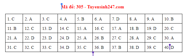 Giáo dục - Đáp án đề thi môn Lịch sử thi THPT Quốc gia 2019 của bộ GD&ĐT mã đề 305