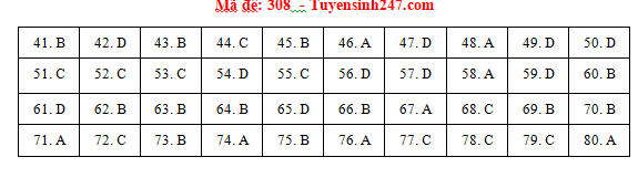 Giáo dục - Đáp án đề thi môn Địa lý thi THPT Quốc gia 2019 của bộ GD&ĐT mã đề 308