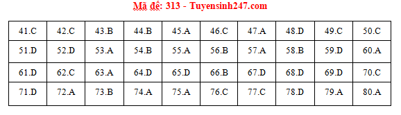 Giáo dục - Đáp án đề thi môn Địa lý thi THPT Quốc gia 2019 của bộ GD&ĐT mã đề 313