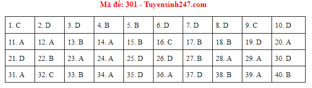 Giáo dục - Đáp án đề thi môn Lịch sử thi THPT Quốc gia 2019 của bộ GD&ĐT mã đề 301