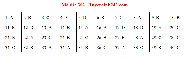 Giáo dục - Đáp án đề thi môn Lịch sử thi THPT Quốc gia 2019 của bộ GD&ĐT mã đề 302