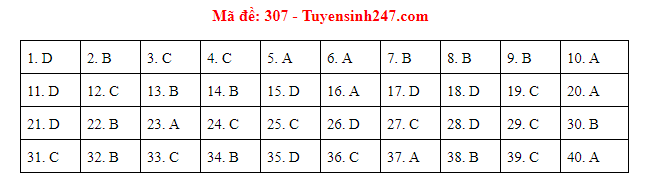 Giáo dục - Đáp án đề thi môn Lịch sử thi THPT Quốc gia 2019 của bộ GD&ĐT mã đề 307