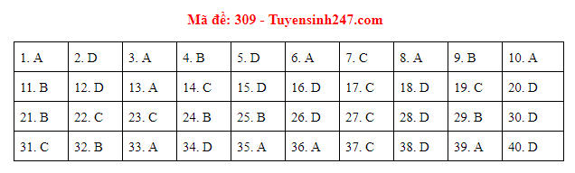 Giáo dục - Đáp án đề thi môn Lịch sử thi THPT Quốc gia 2019 của bộ GD&ĐT mã đề 309