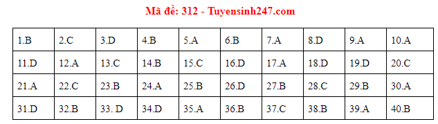 Giáo dục - Đáp án đề thi môn Lịch sử thi THPT Quốc gia 2019 của bộ GD&ĐT mã đề 312