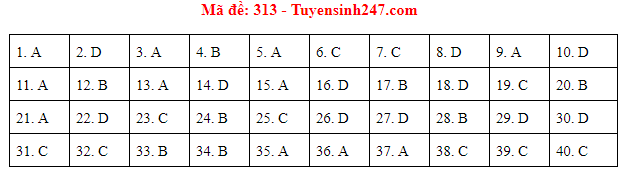 Giáo dục - Đáp án đề thi môn Lịch sử thi THPT Quốc gia 2019 của bộ GD&ĐT mã đề 313