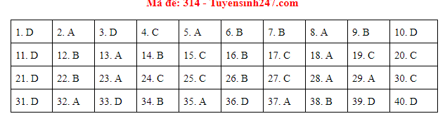 Giáo dục - Đáp án đề thi môn Lịch sử thi THPT Quốc gia 2019 của bộ GD&ĐT mã đề 314