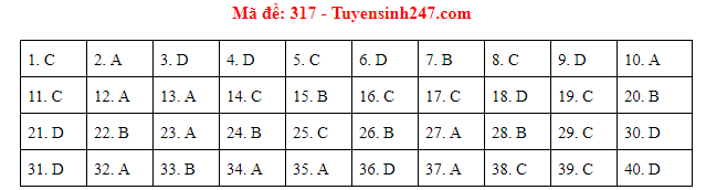 Giáo dục - Đáp án đề thi môn Lịch sử thi THPT Quốc gia 2019 của bộ GD&ĐT mã đề 317