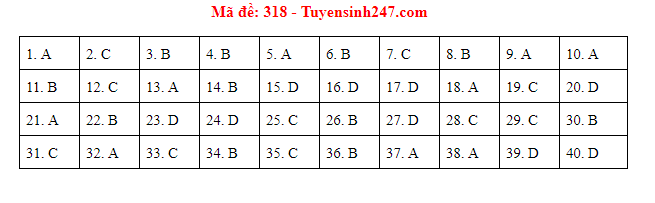 Giáo dục - Đáp án đề thi môn Lịch sử thi THPT Quốc gia 2019 của bộ GD&ĐT mã đề 318