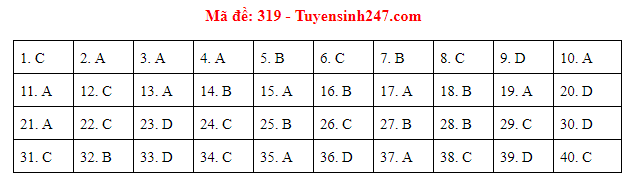 Giáo dục - Đáp án đề thi môn Lịch sử thi THPT Quốc gia 2019 của bộ GD&ĐT mã đề 319