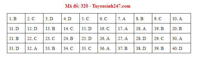 Giáo dục - Đáp án đề thi môn Lịch sử thi THPT Quốc gia 2019 của bộ GD&ĐT mã đề 320