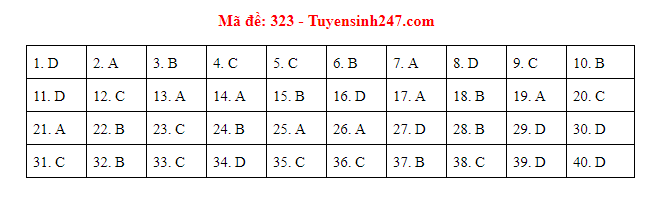 Giáo dục - Đáp án đề thi môn Lịch sử thi THPT Quốc gia 2019 của bộ GD&ĐT mã đề 323