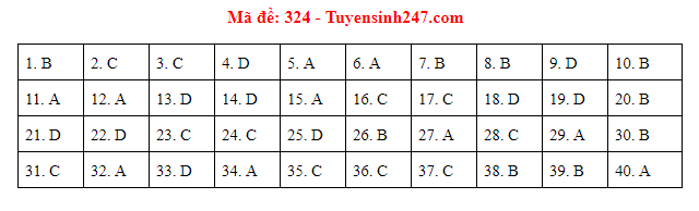 Giáo dục - Đáp án đề thi môn Lịch sử thi THPT Quốc gia 2019 của bộ GD&ĐT mã đề 324