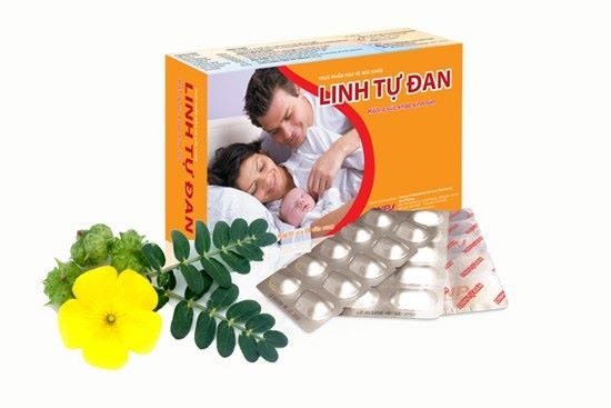 Sức khỏe - Dược liệu vàng Bạch Tật Lê giúp nam giới 'tinh binh' yếu có con tự nhiên (Hình 3).