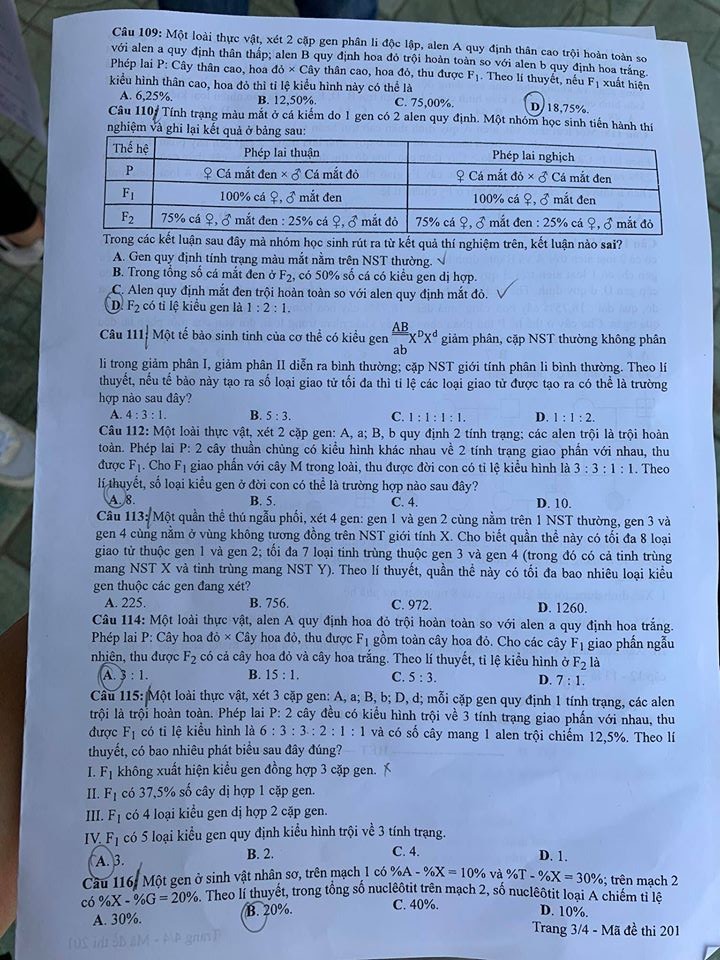 Giáo dục - Đáp án đề thi môn Sinh học tốt nghiệp THPT 2020 chuẩn nhất mã đề 201 (Hình 3).